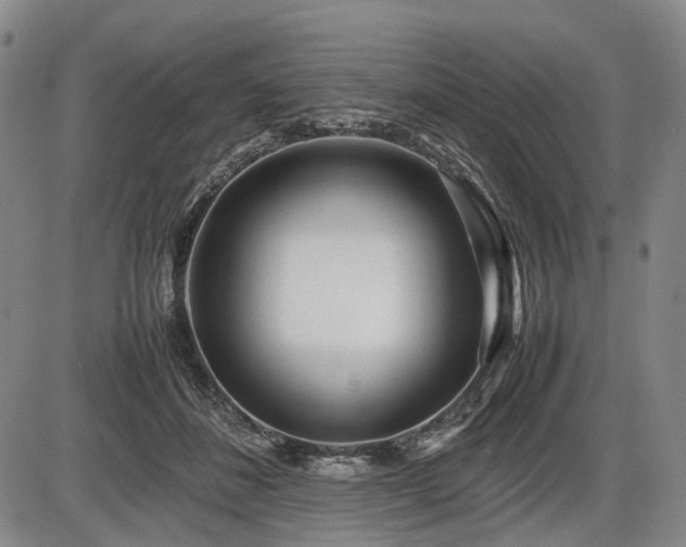 X0000086060508200703301044