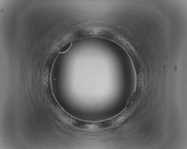 X0000086060509200703301044