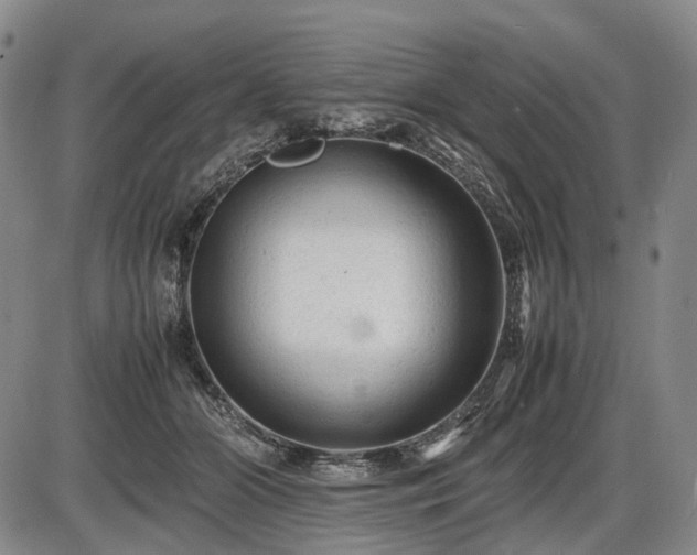 X0000086060510200703301044