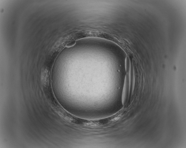 X0000086060511200703301044