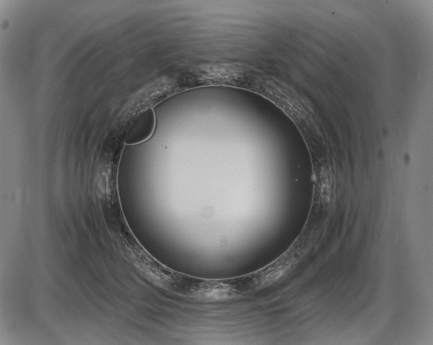 X0000086060514200703301044