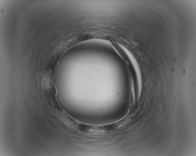 X0000086060515200703301044