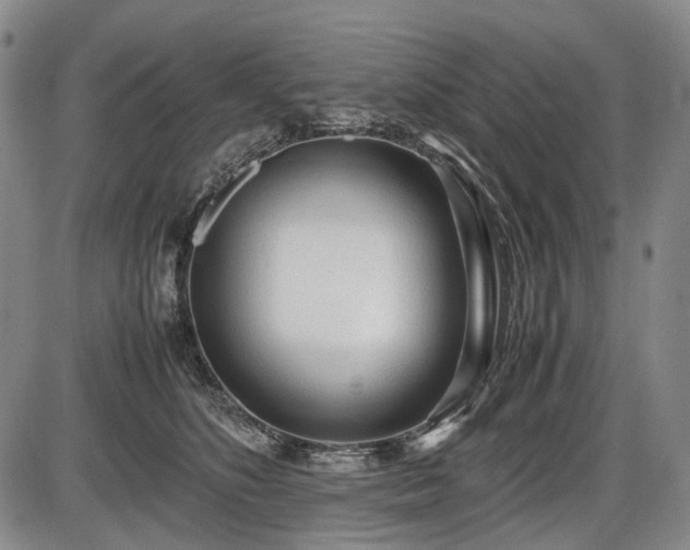 X0000086060516200703301044