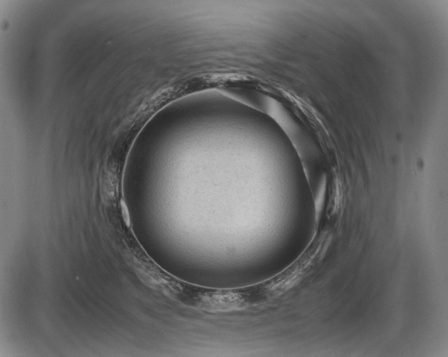 X0000086060517200703301044