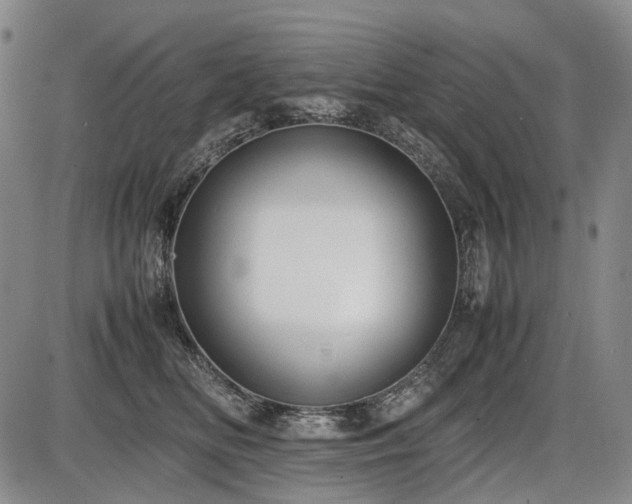 X0000086060518200703301044