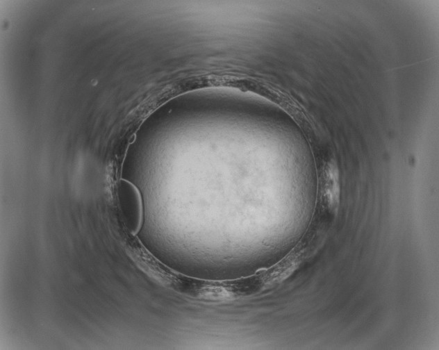 X0000086060519200703301044