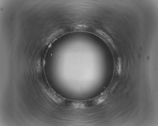 X0000086060520200703301044