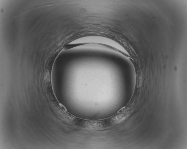 X0000086060521200703301044