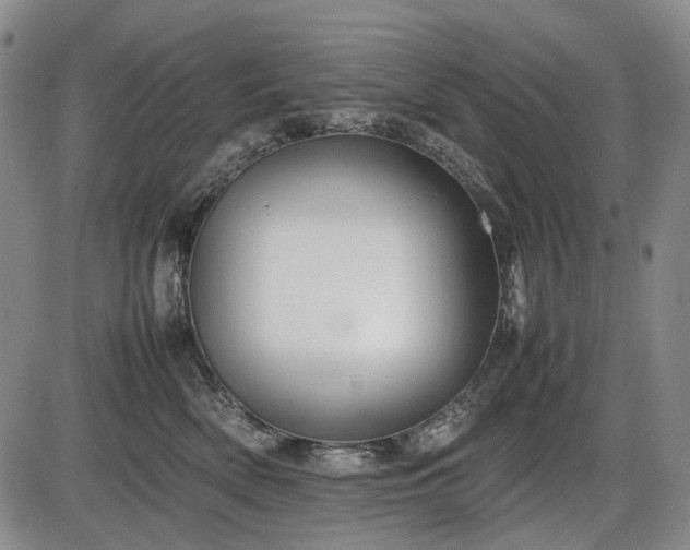 X0000086060522200703301044