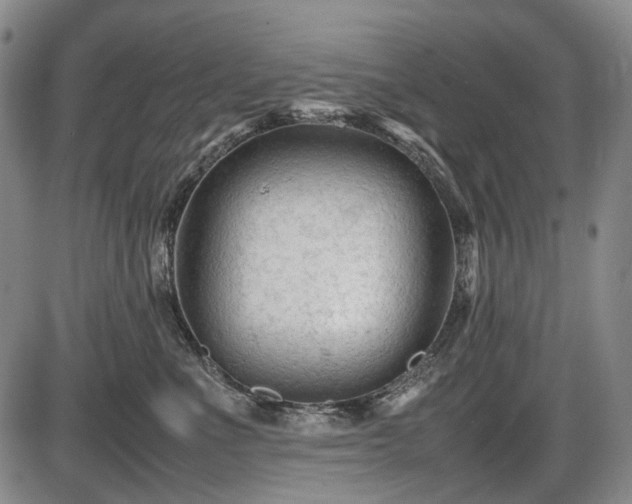 X0000086060523200703301044