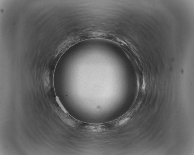 X0000086060524200703301044