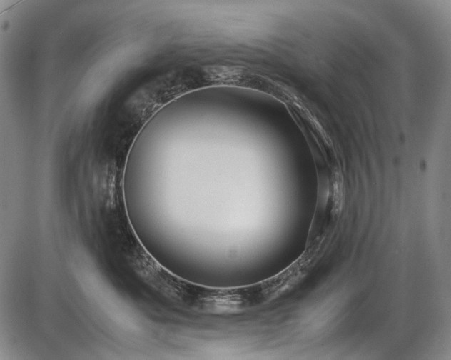 X0000086060525200703301044