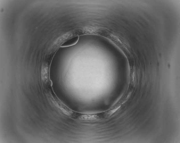 X0000086060526200703301044