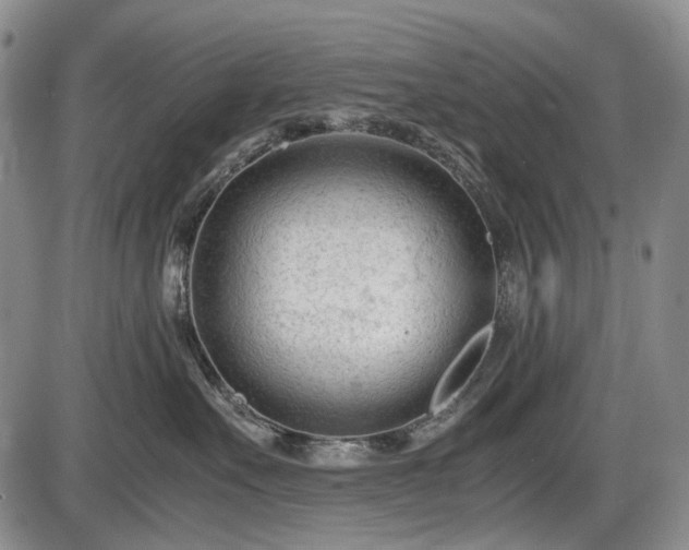 X0000086060527200703301044