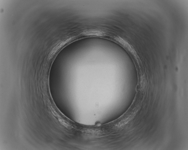 X0000086060529200703301043