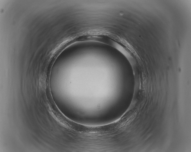 X0000086060530200703301043