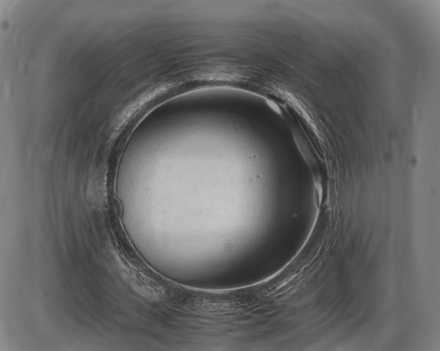 X0000086060531200703301043