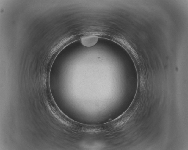 X0000086060533200703301043