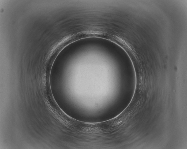 X0000086060535200703301043