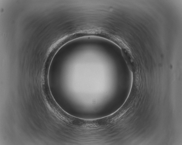 X0000086060536200703301043