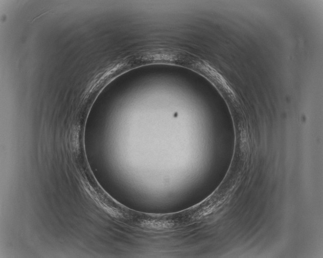 X0000086060537200703301043