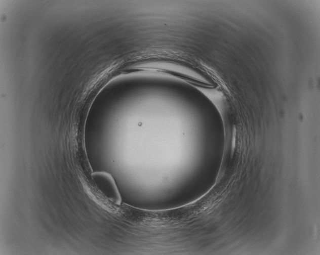 X0000086060538200703301043