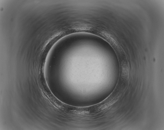 X0000086060539200703301043