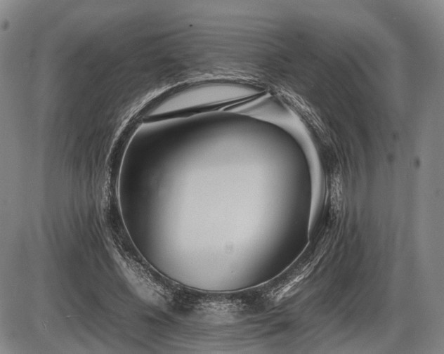 X0000086060540200703301043