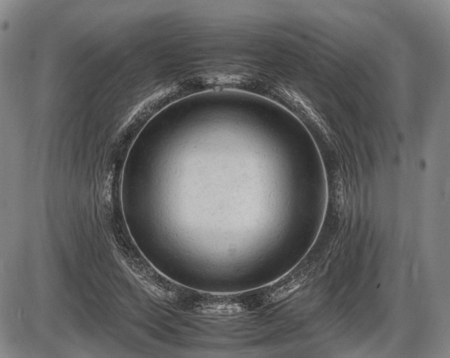 X0000086060543200703301043