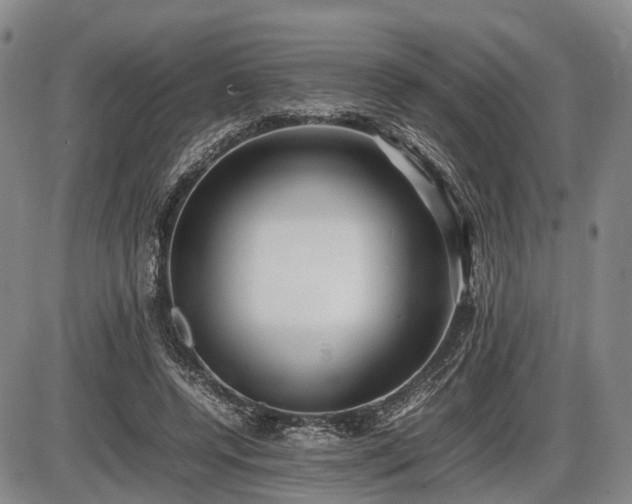 X0000086060544200703301043