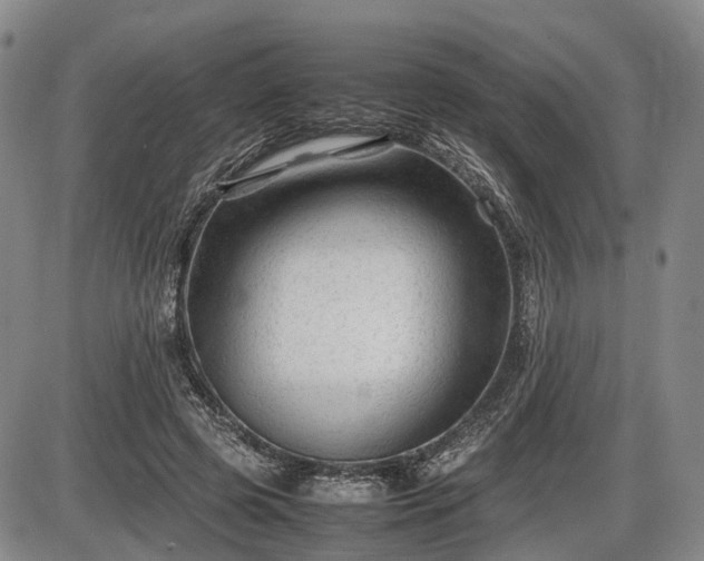 X0000086060545200703301043