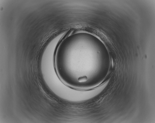 X0000086060546200703301043