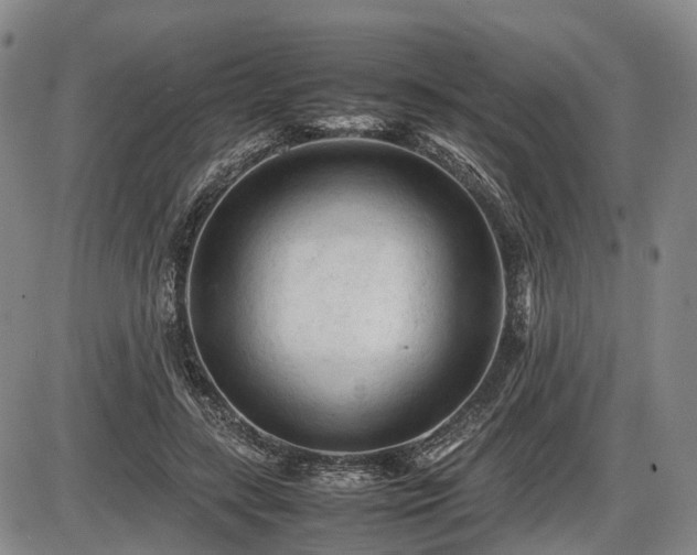 X0000086060547200703301043