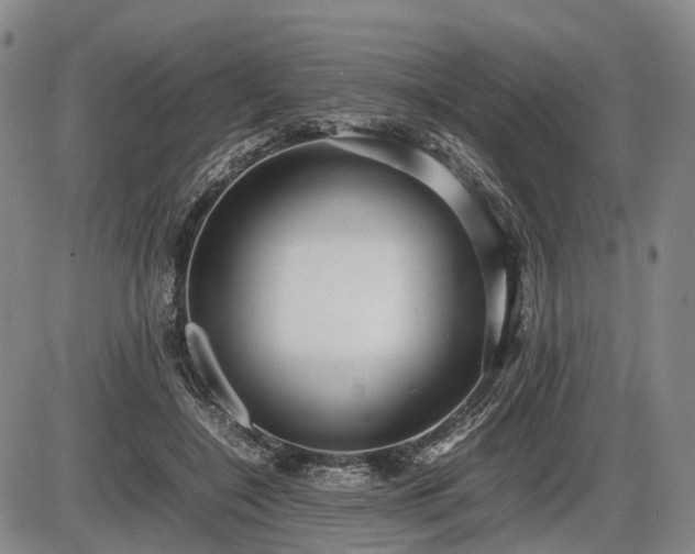 X0000086060548200703301043