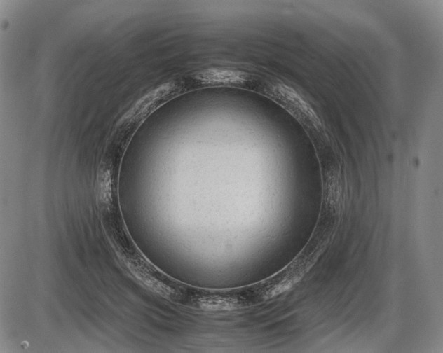 X0000086060549200703301043