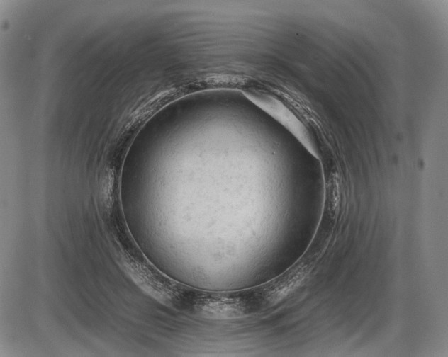 X0000086060550200703301043