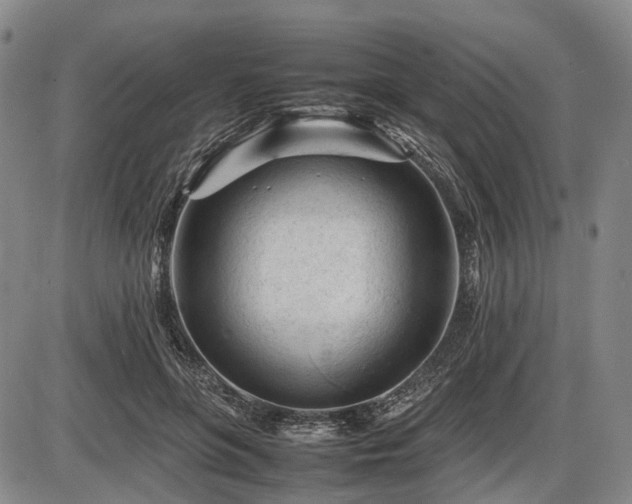 X0000086060551200703301043