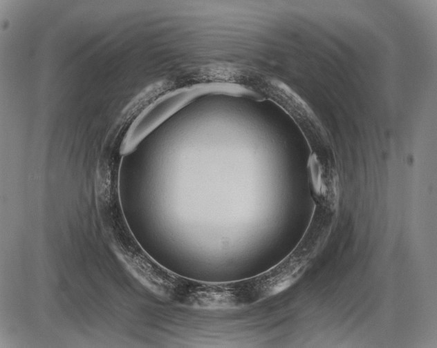 X0000086060552200703301043