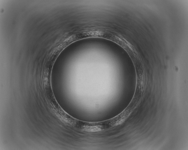 X0000086060553200703301043