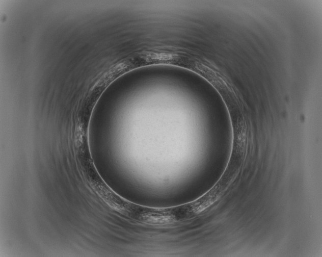 X0000086060555200703301043