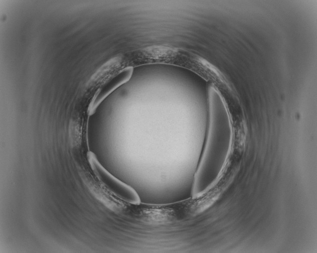 X0000086060558200703301044