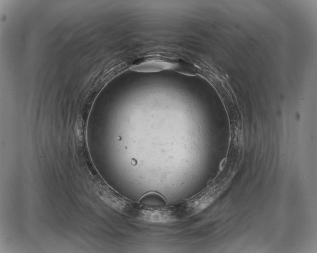 X0000086060561200703301044