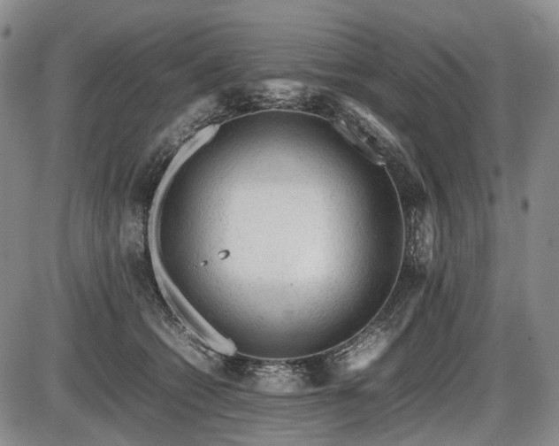 X0000086060562200703301044