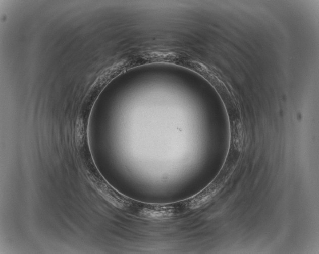 X0000086060563200703301044