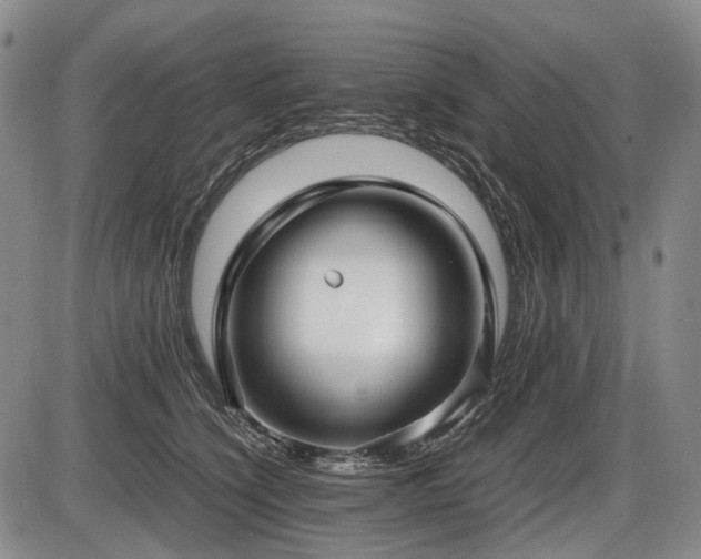 X0000086060564200703301044