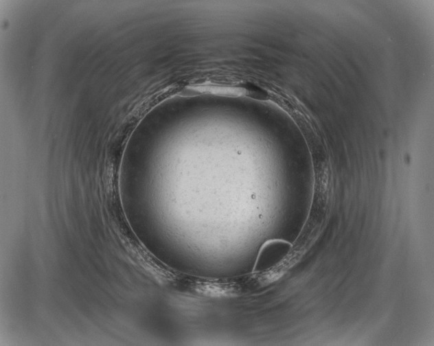 X0000086060565200703301044