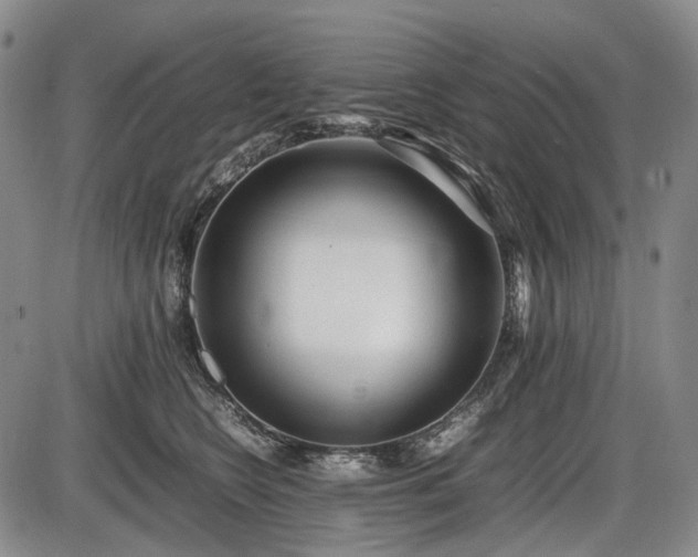 X0000086060566200703301044