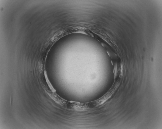 X0000086060568200703301044