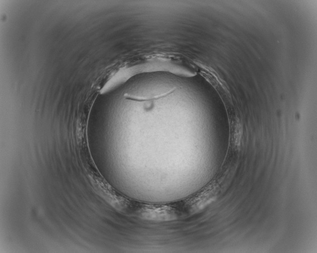 X0000086060569200703301044