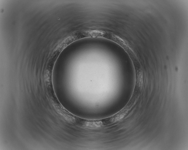 X0000086060571200703301044